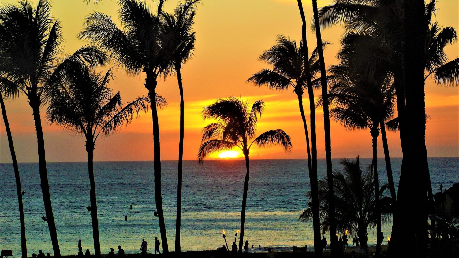 Palmen vor Sonnenuntergang am Strand
