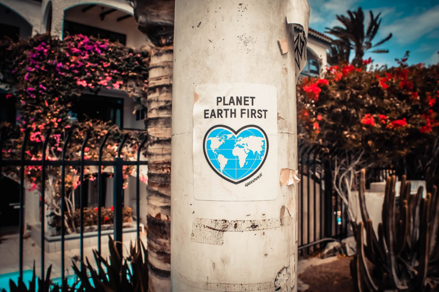 Sticker "Planet Earth First"