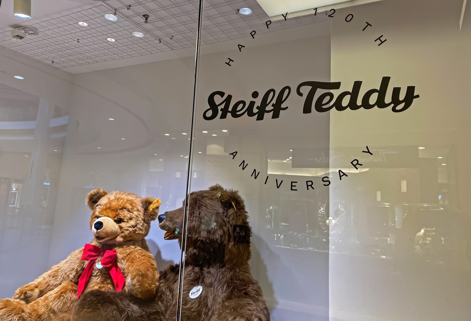 Schaufenster Steiff Teddy 120-jähriges Jubiläum